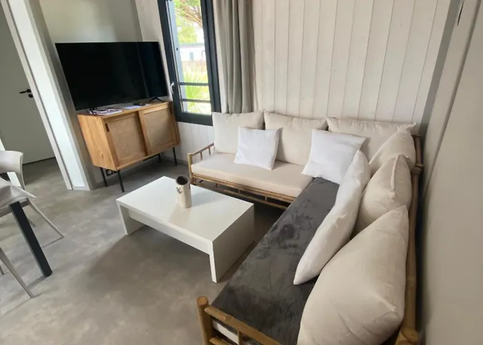 A L'edune 6 Ou 12pers Avec Mon2eme Beau Standing Piscine Couverte Chauffee A 150m De La Wifi Inclus *